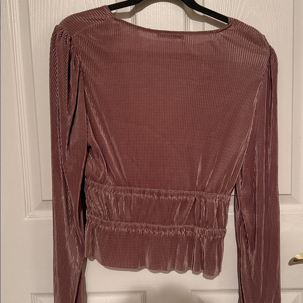 Zara Champagne Color Long Sleeve V-Neck Blouse - Picture 4 of 4